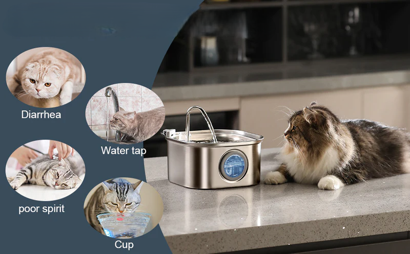 Cat Water Fountain
